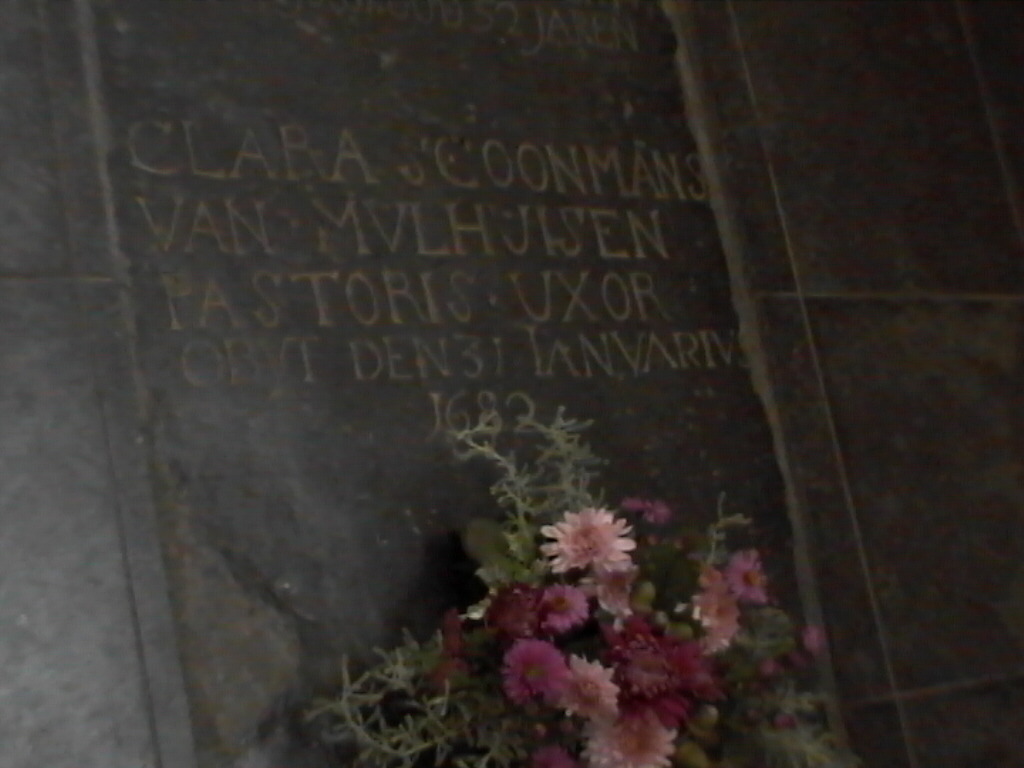 schoonman - clara sch#d4f0.jpg