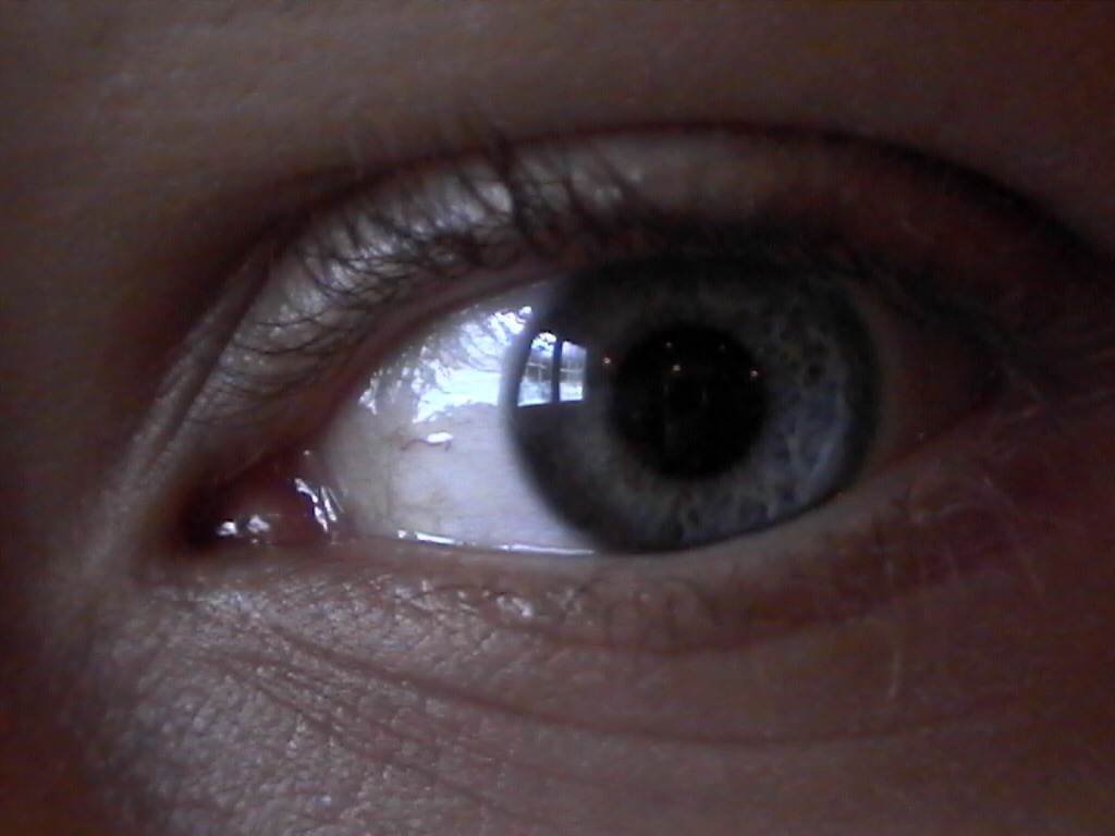 schoonman - een oog.jpg